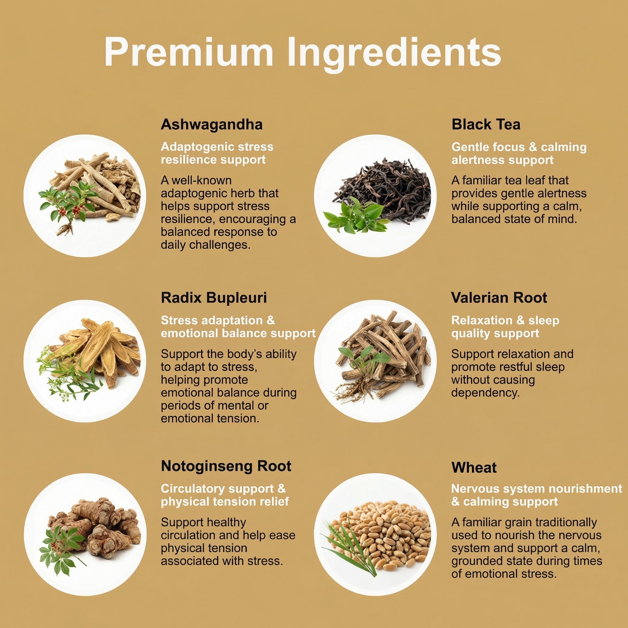 List of premium ingredients for StressCare (Ashwagandha, Black Tea, Radix Bupleuri, Valerian Root, Notoginseng Root and Wheat) with their benefits on a brown background