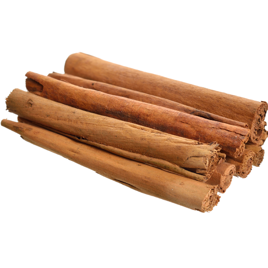 Cinnamomum