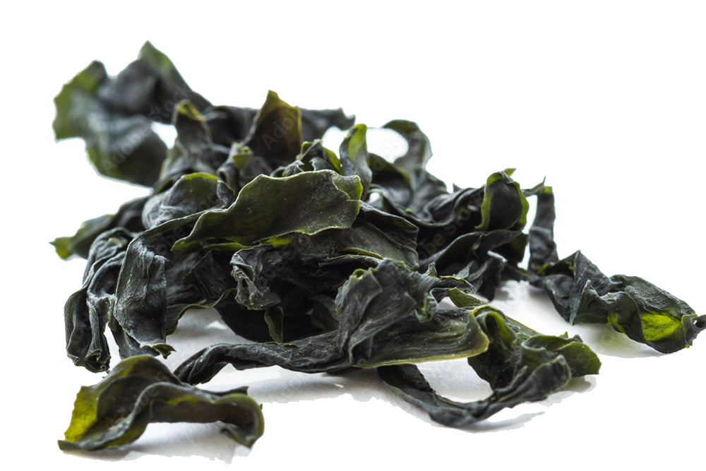 Japanese Algae