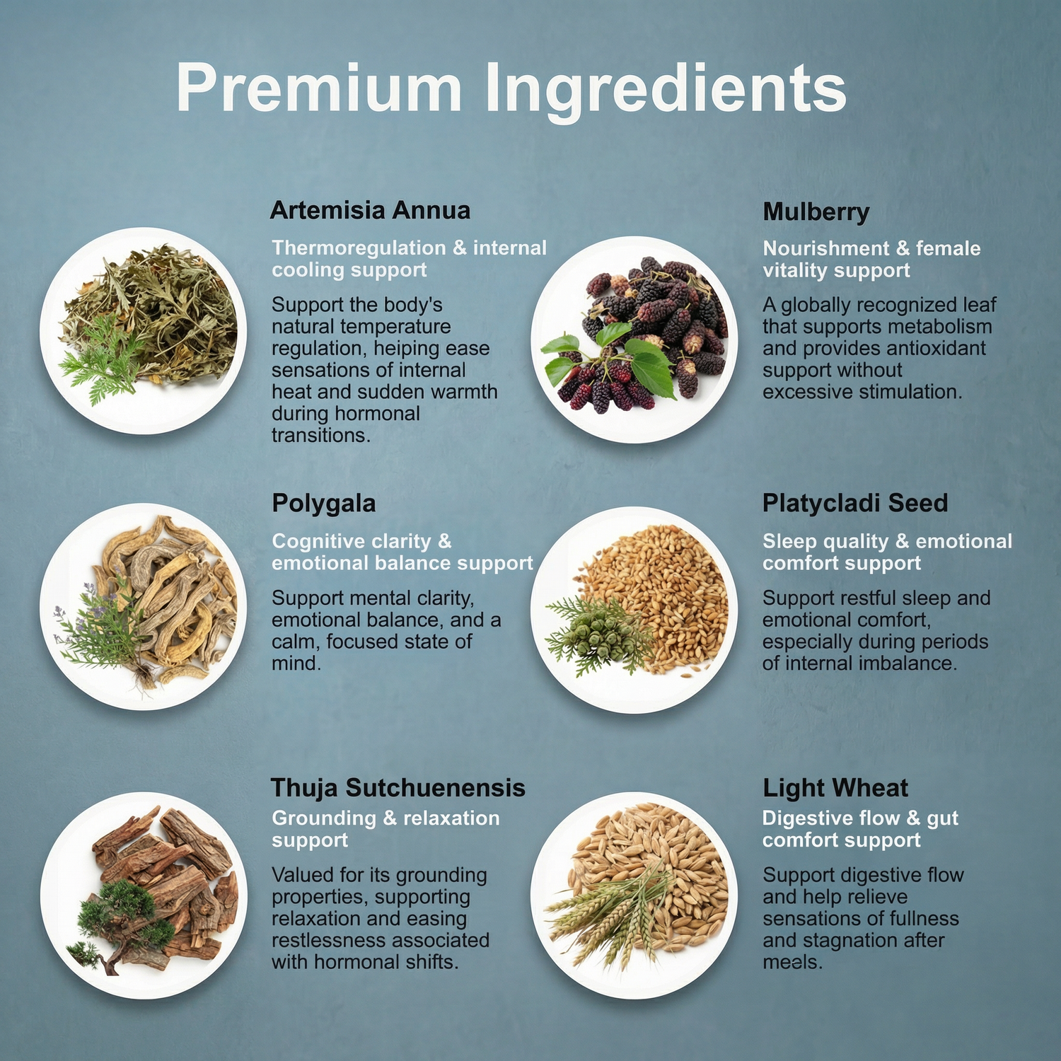 List of premium ingredients for MenoWell (Artemisia Anniua, Mulberry, Polygala, Platycladi Seed, Thuja Sutchuenensis and light wheat) with images and descriptions on a blue background